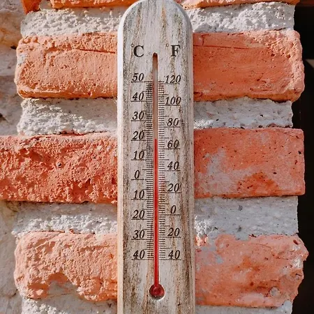 Carroceu Rural * Onís